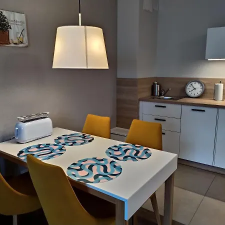 公寓 Bel Mare Patio And Garden C110 米兹多洛杰