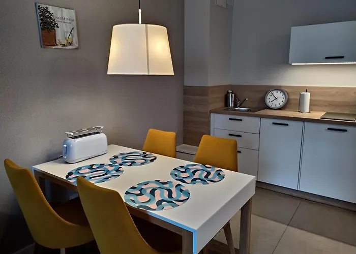 公寓 Bel Mare Patio And Garden C110 米兹多洛杰